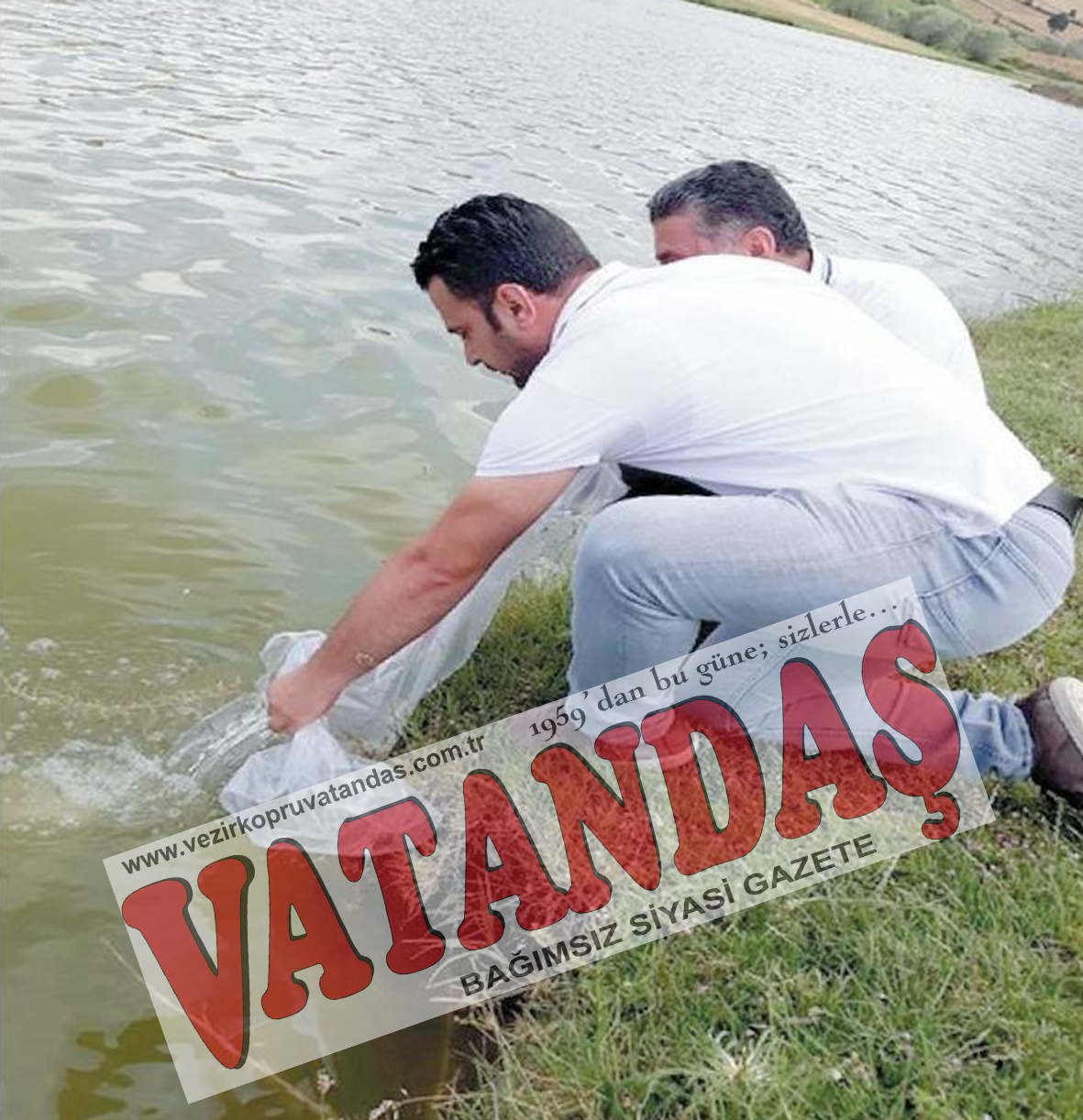 Samsun’da 100 bin  yavru sazan salındı