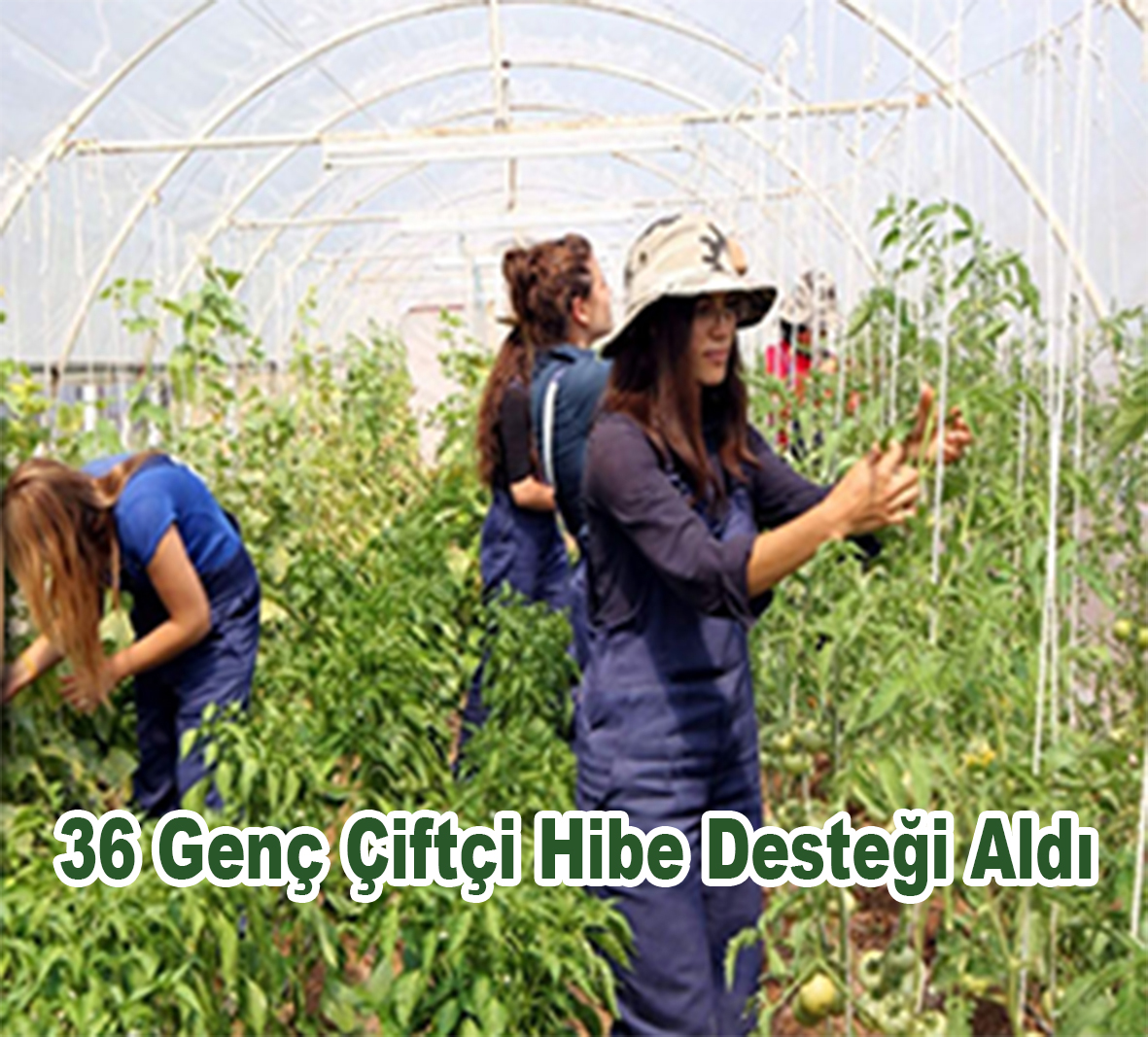 36 Genç Çiftçi  Hibe Desteği Aldı