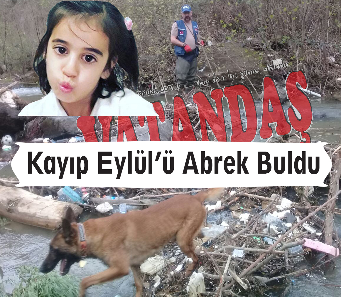 Kayıp Eylül’ü Abrek Buldu