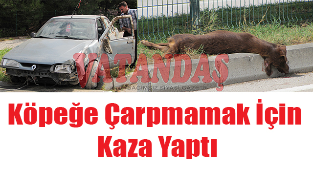 Köpeğe Çarpmamak İçin Kaza Yaptı