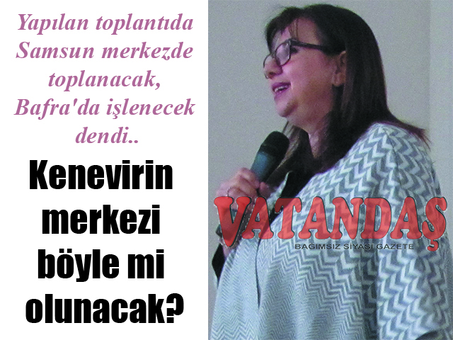 Yapılan toplantıda Samsun merkezde toplanacak, Bafra’da işlenecek dendi.. Kenevirin merkezi böyle mi olunacak?