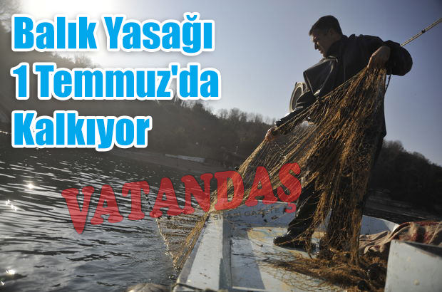 Balık Yasağı 1 Temmuz’da  Kalkıyor