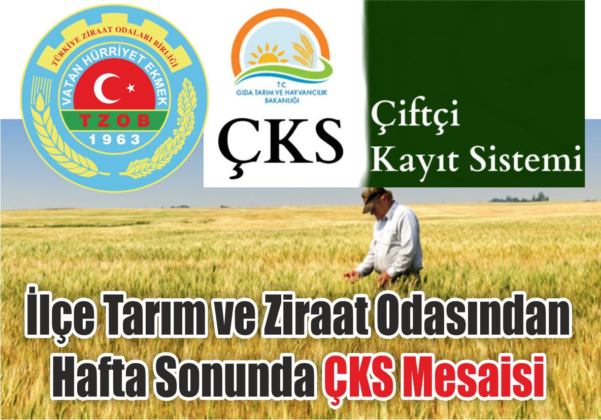 İlçe Tarım ve Ziraat Odasından Hafta Sonunda ÇKS Mesaisi