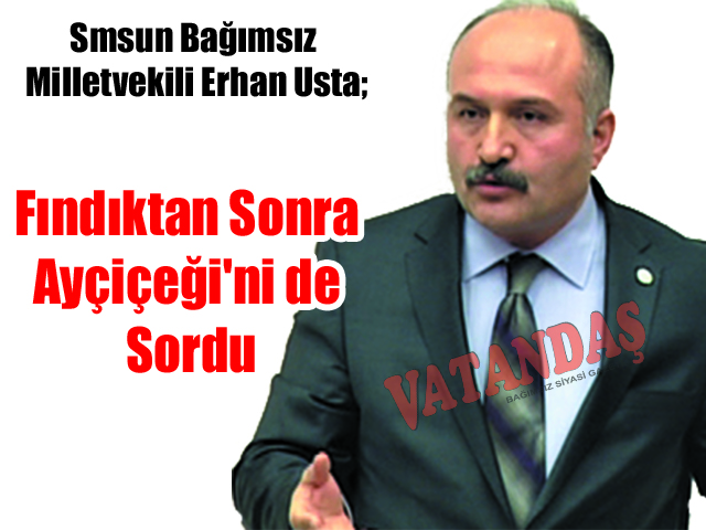 Smsun Bağımsız Milletvekili Erhan Usta; Fındıktan Sonra Ayçiçeği’ni de Sordu