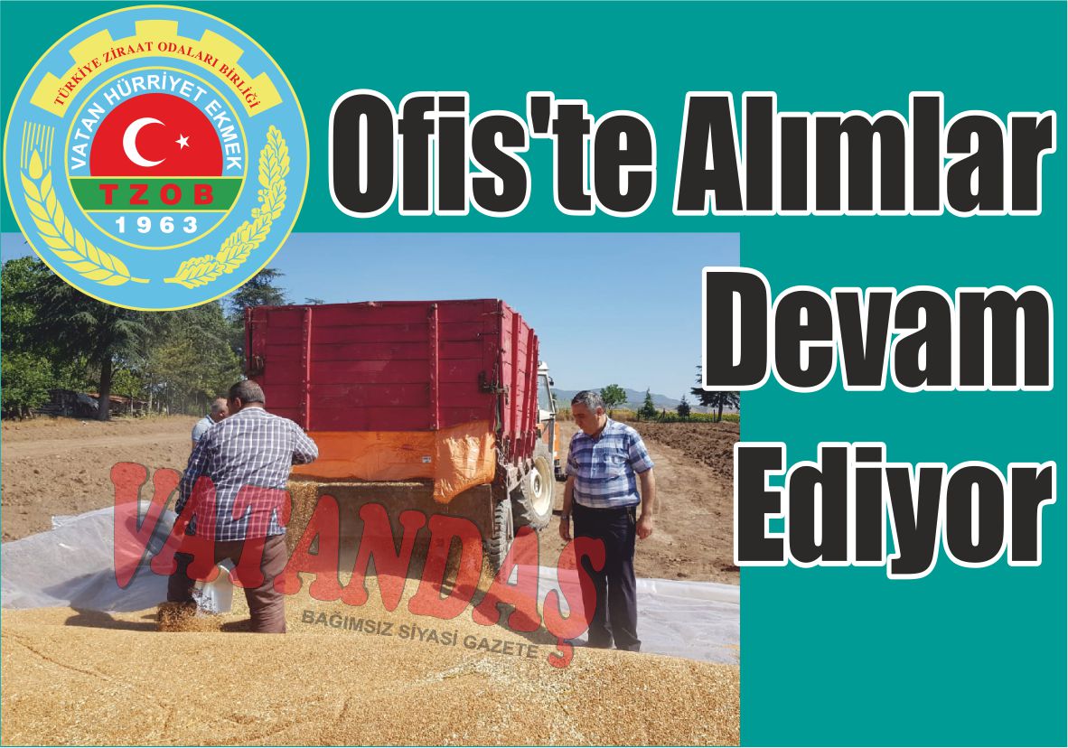 Ofis’te Alımlar Devam Ediyor