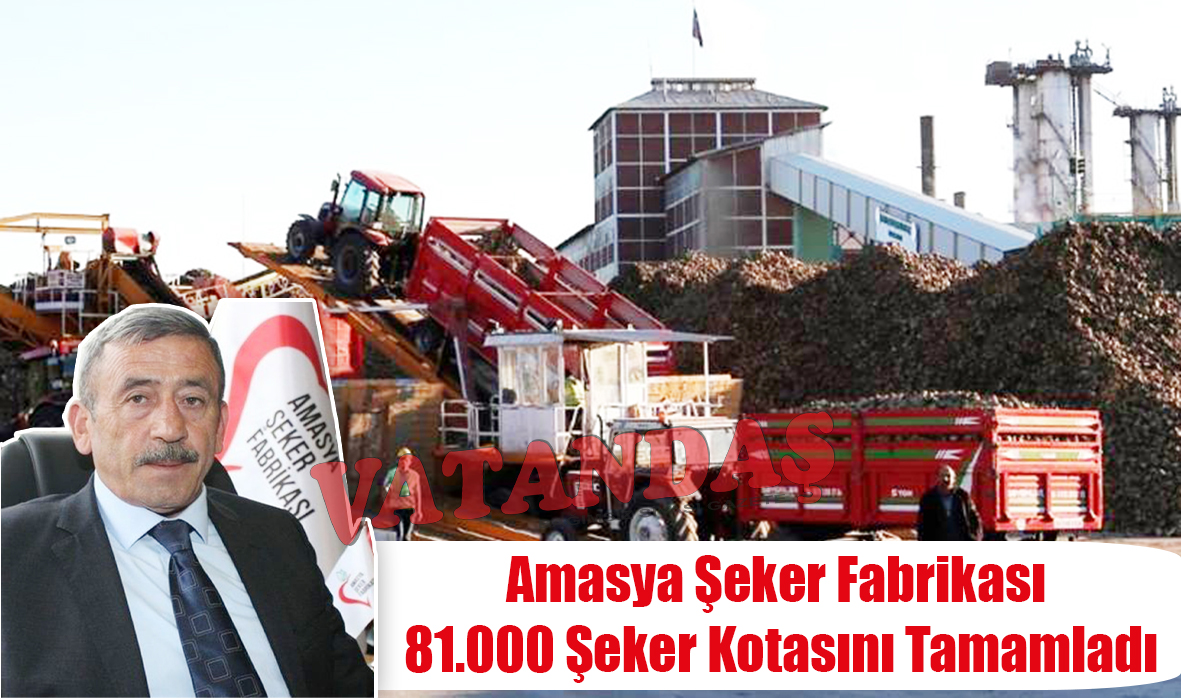 Amasya Şeker Fabrikası  81.000 Şeker Kotasını  Tamamladı