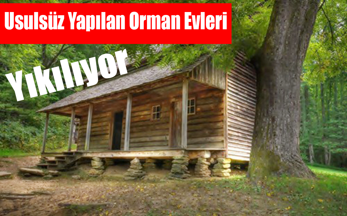 Usulsüz Yapılan Orman Evleri Yıkılıyor