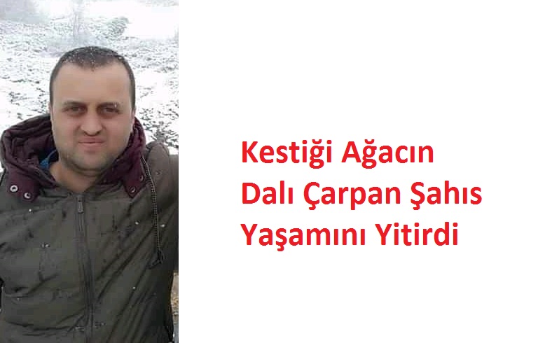 Kestiği Ağacın Dalı Çarpan Şahıs Yaşamını Yitirdi