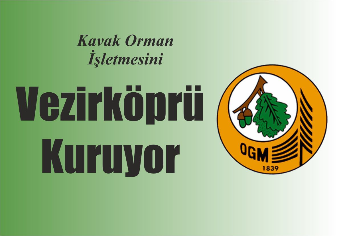 Kavak Orman İşletmesini Vezirköprü Kuruyor