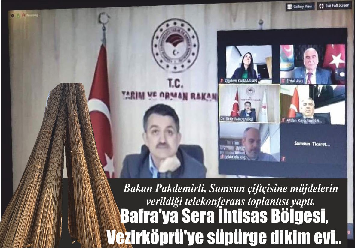 Bakan Pakdemirli, Samsun çiftçisine müjdelerin verildiği telekonferans toplantısı yaptı. Bafra’ya Sera İhtisas Bölgesi, Vezirköprü’ye süpürge dikim evi..