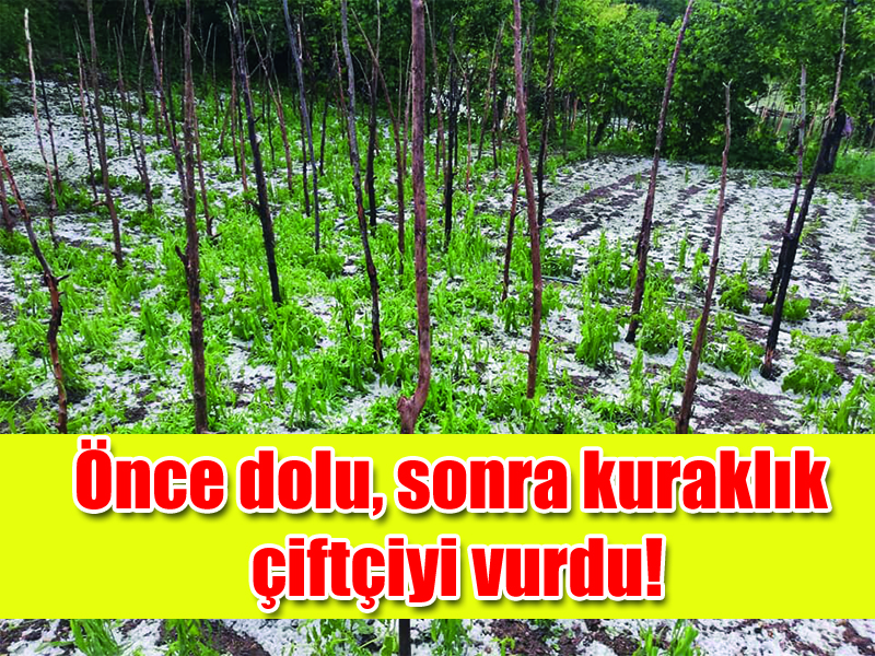 Önce dolu, sonra kuraklık çiftçiyi vurdu!