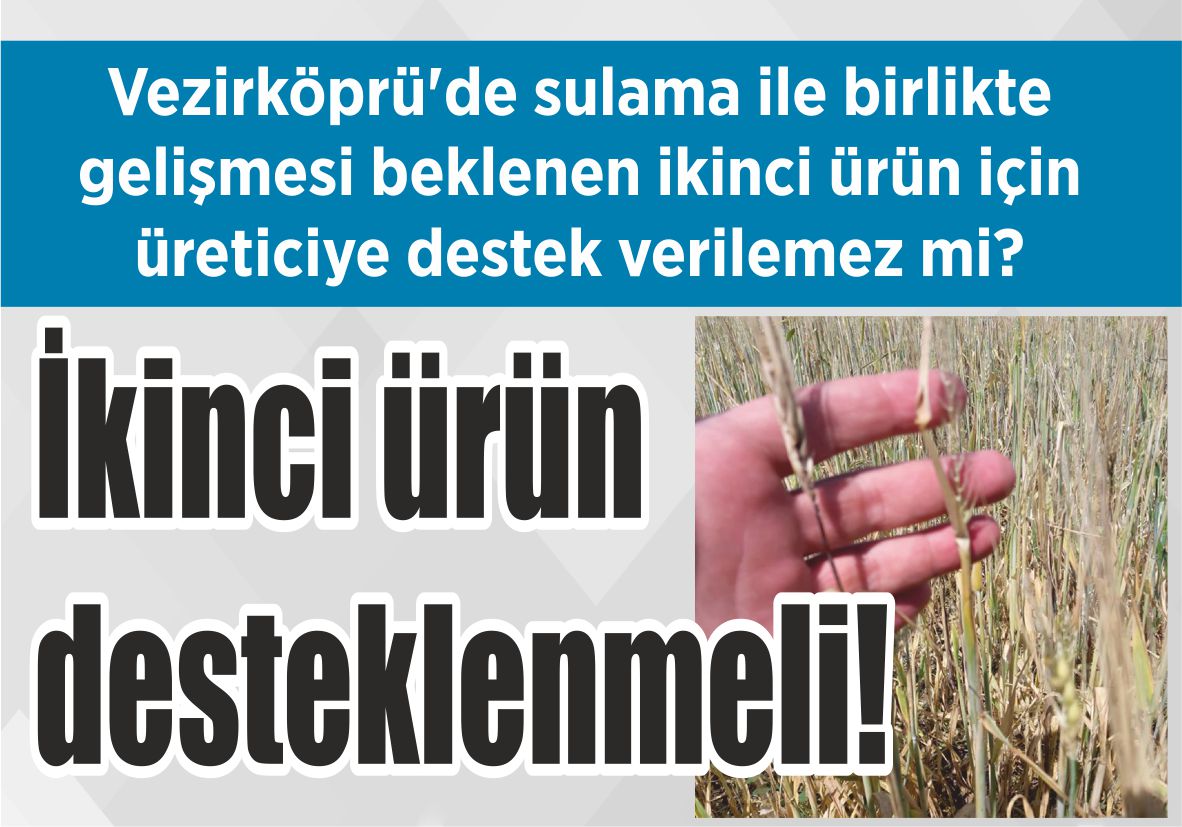 Vezirköprü’de sulama ile birlikte gelişmesi beklenen ikinci ürün için üreticiye destek verilemez mi? İkinci ürün desteklenmeli!