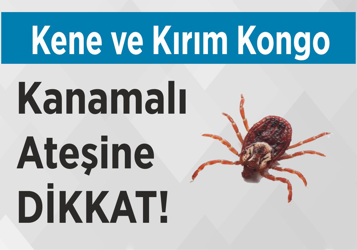 Kene ve Kırım Kongo Kanamalı Ateşine DİKKAT!