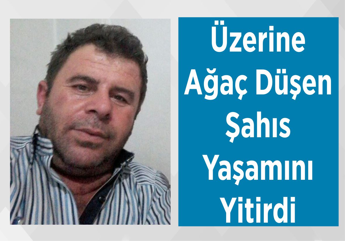 Üzerine Ağaç Düşen Şahıs Yaşamını Yitirdi