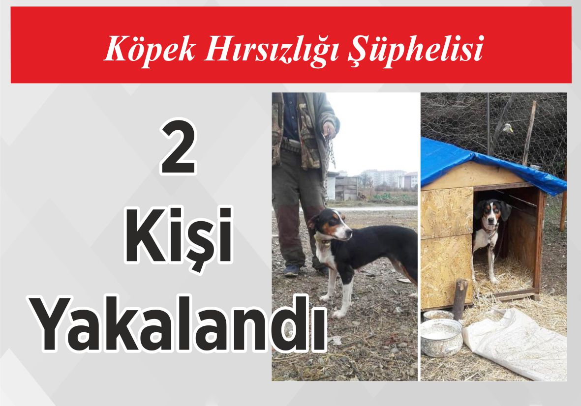 Köpek Hırsızlığı Şüphelisi 2 Kişi Yakalandı