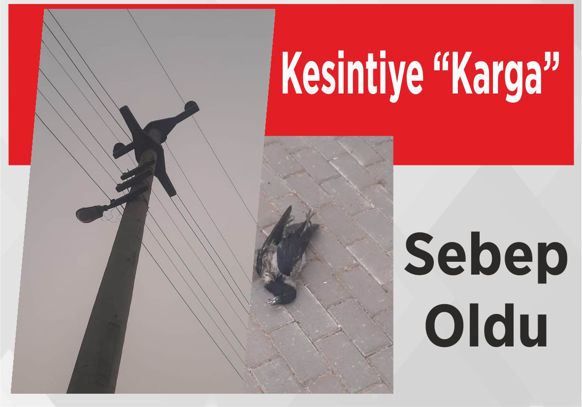 Kesintiye “Karga” Sebep Oldu