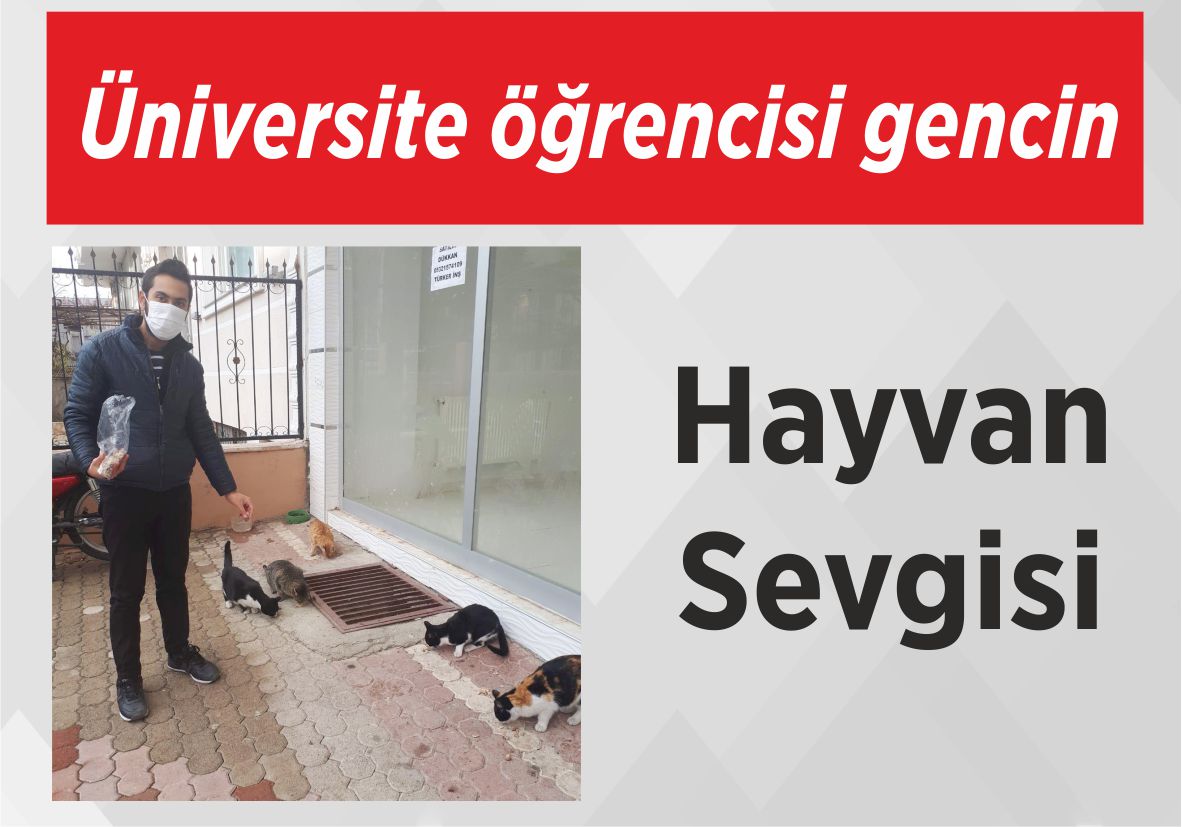 Üniversite öğrencisi gencin  Hayvan Sevgisi