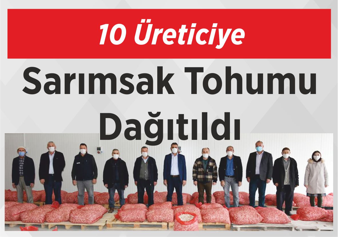 10 Üreticiye Sarımsak  Tohumu Dağıtıldı