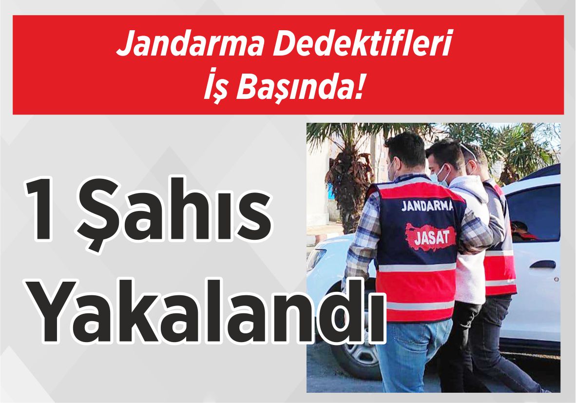 Jandarma Dedektifleri İş Başında! 1 Şahıs Yakalandı