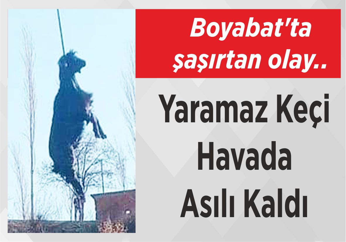 Boyabat’ta şaşırtan olay.. Yaramaz Keçi Havada Asılı Kaldı