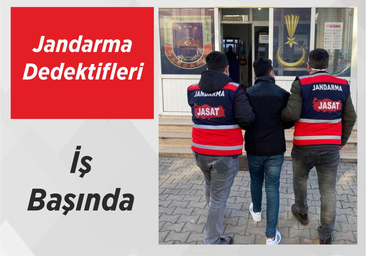 Jandarma Dedektifleri İş Başında