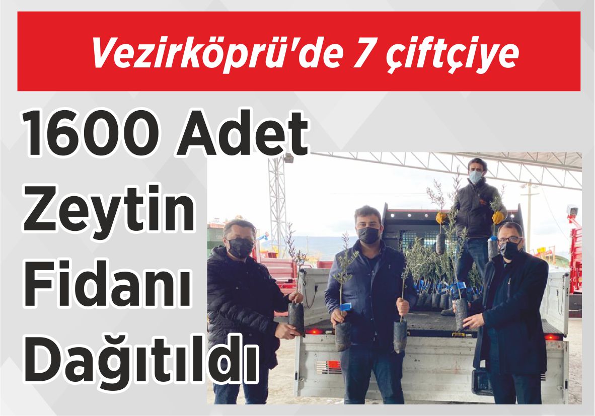 Vezirköprü’de 7 çiftçiye 1600 Adet Zeytin  Fidanı Dağıtıldı