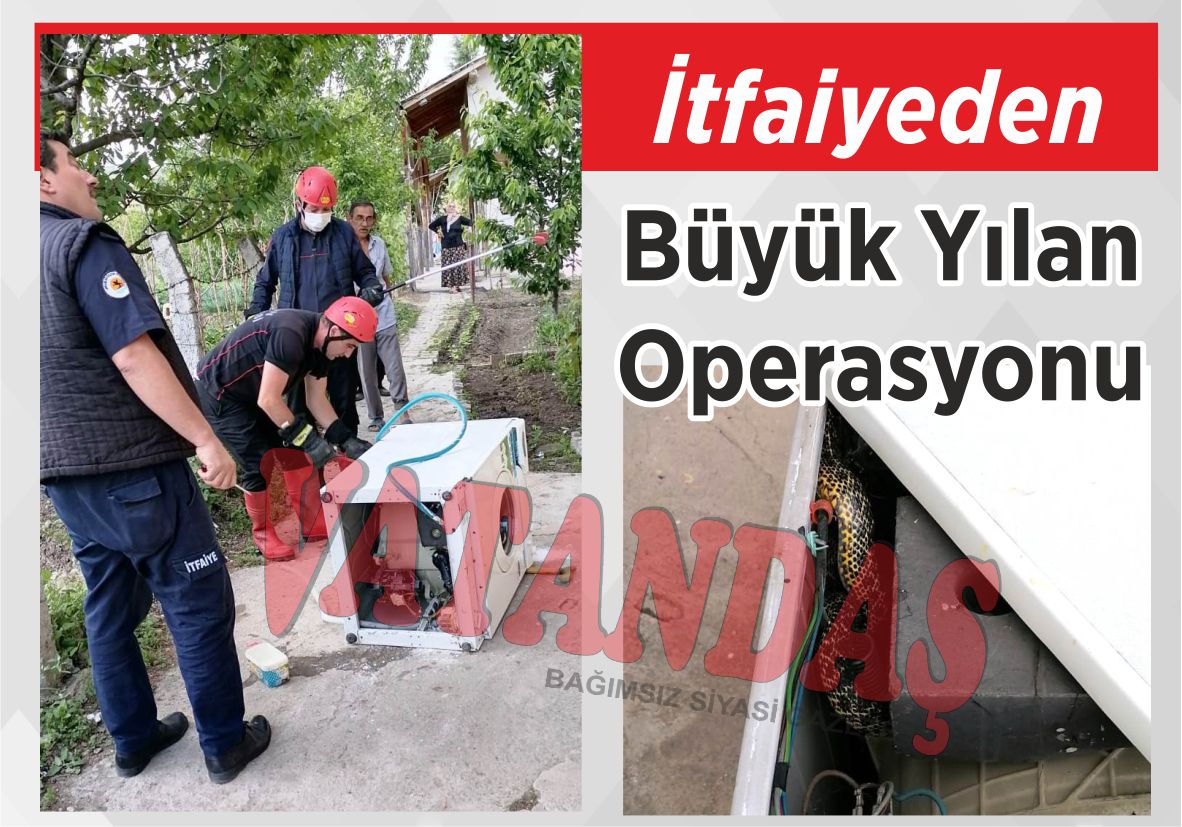 İtfaiyeden Büyük Yılan Operasyonu