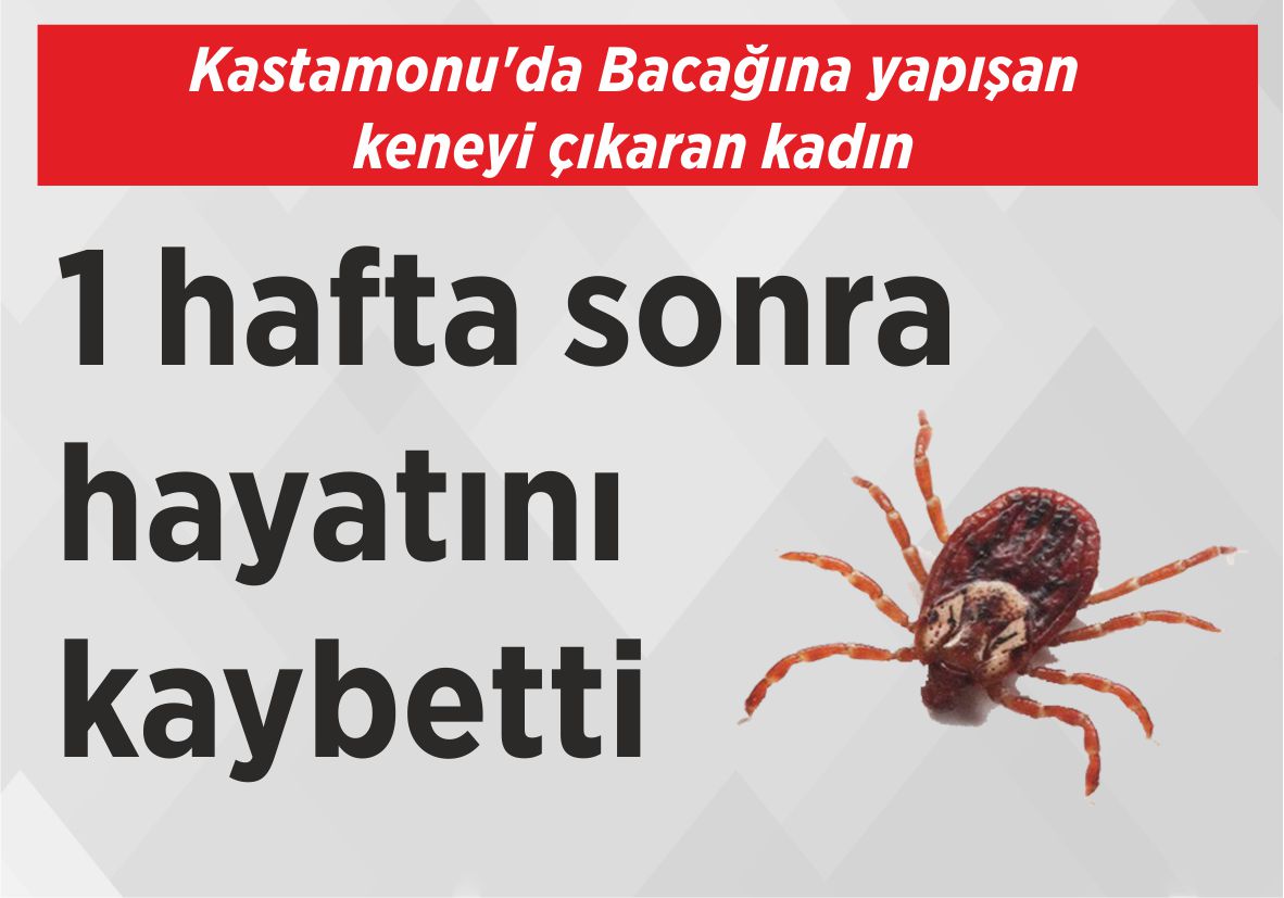 Kastamonu’da Bacağına yapışan keneyi çıkaran kadın 1 hafta sonra hayatını kaybetti