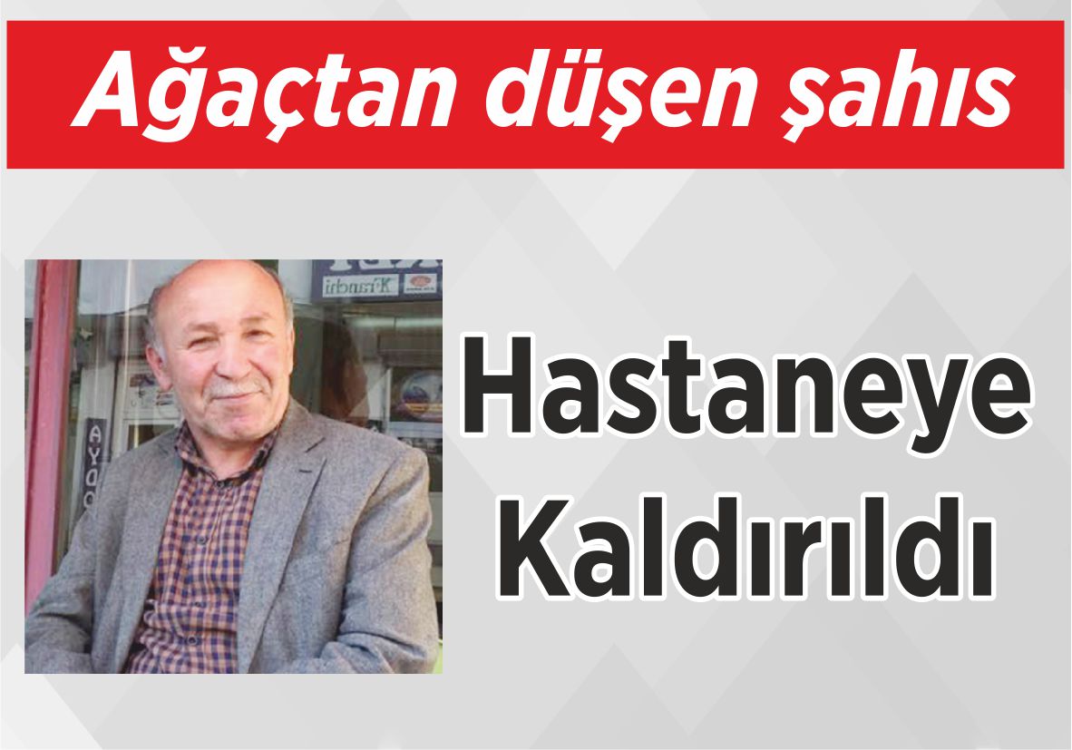 Ağaçtan düşen şahıs Hastaneye Kaldırıldı