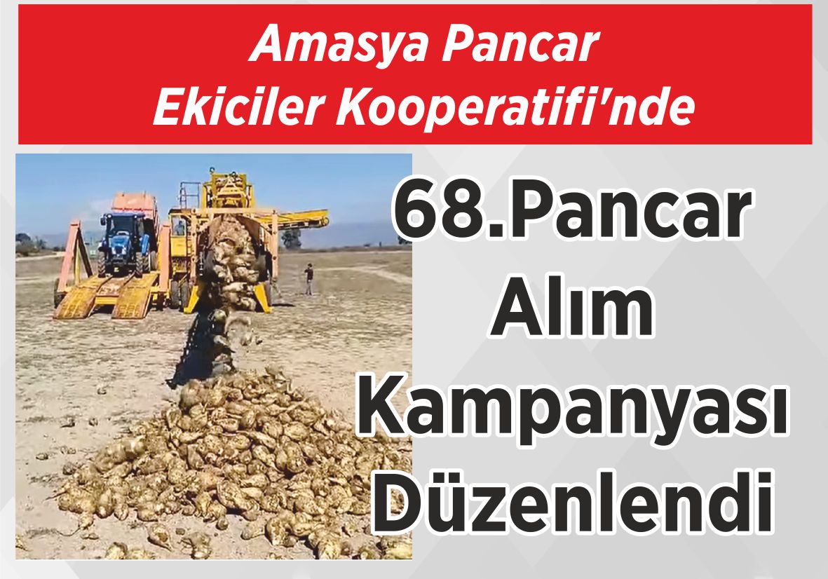 Amasya Pancar Ekiciler Kooperatifi’nde 68.Pancar Alım Kampanyası Düzenlendi