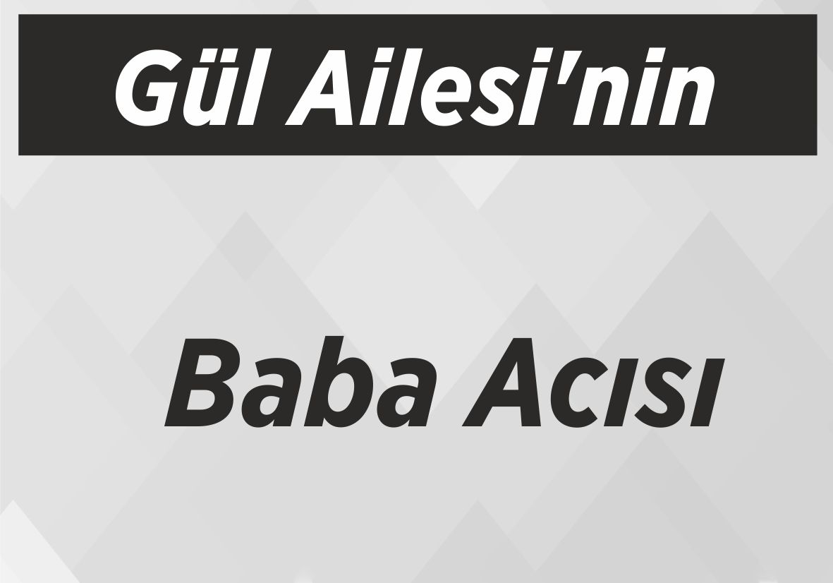 Gül Ailesi’nin  Baba Acısı