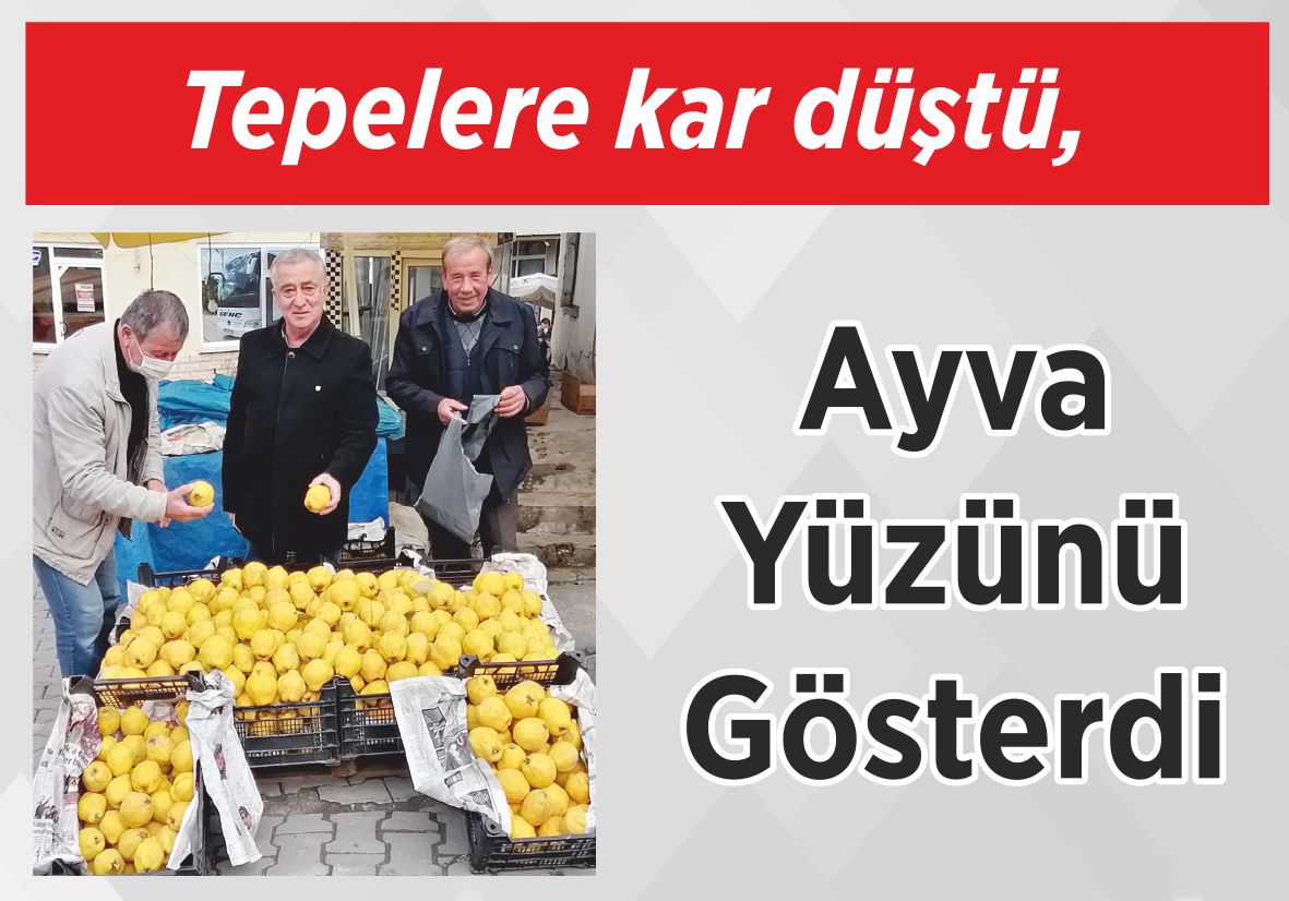 Tepelere kar düştü, Ayva Yüzünü Gösterdi