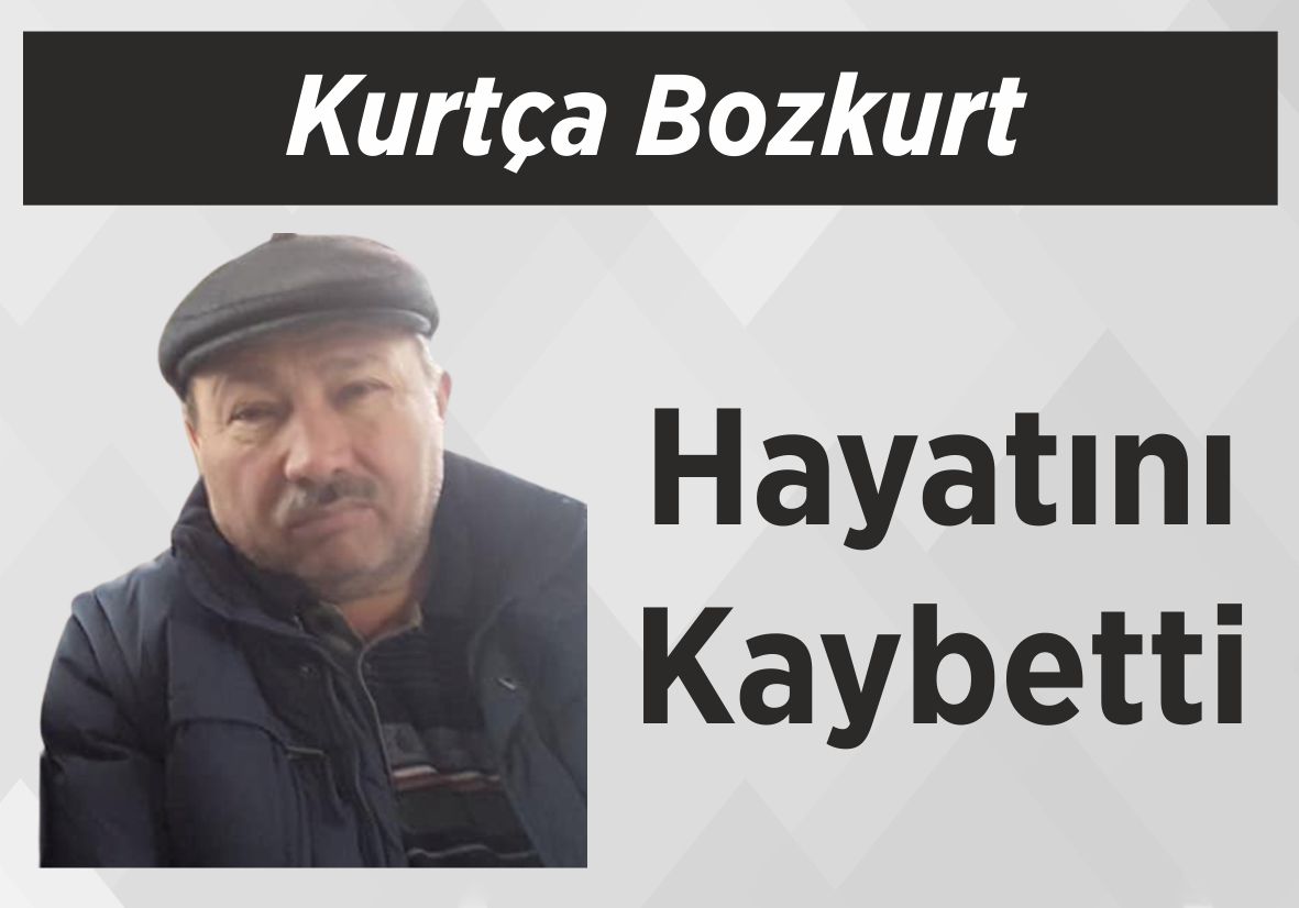 Kurtça Bozkurt Hayatını Kaybetti