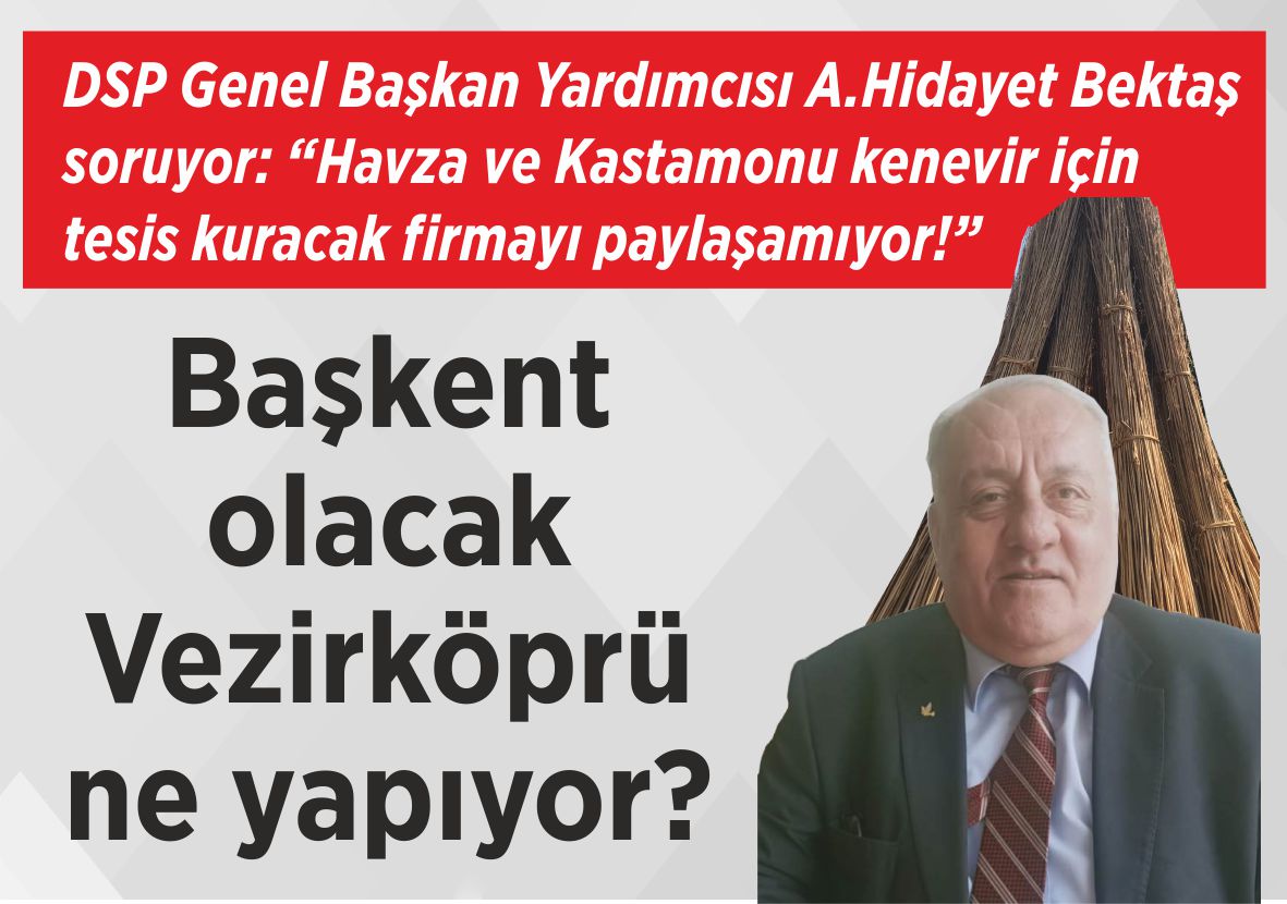 DSP Genel Başkan Yardımcısı A.Hidayet Bektaş soruyor:  “Havza ve Kastamonu kenevir için tesis kuracak firmayı paylaşamıyor!” Başkent olacak  Vezirköprü  ne yapıyor?