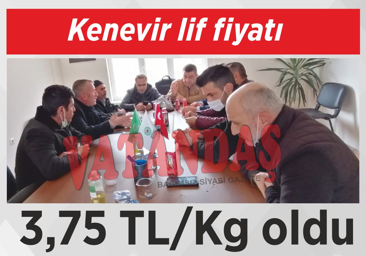 Kenevir lif fiyatı  3,75 TL/Kg oldu