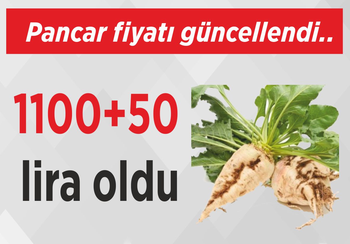 Pancar fiyatı güncellendi.. 1100+50 lira oldu