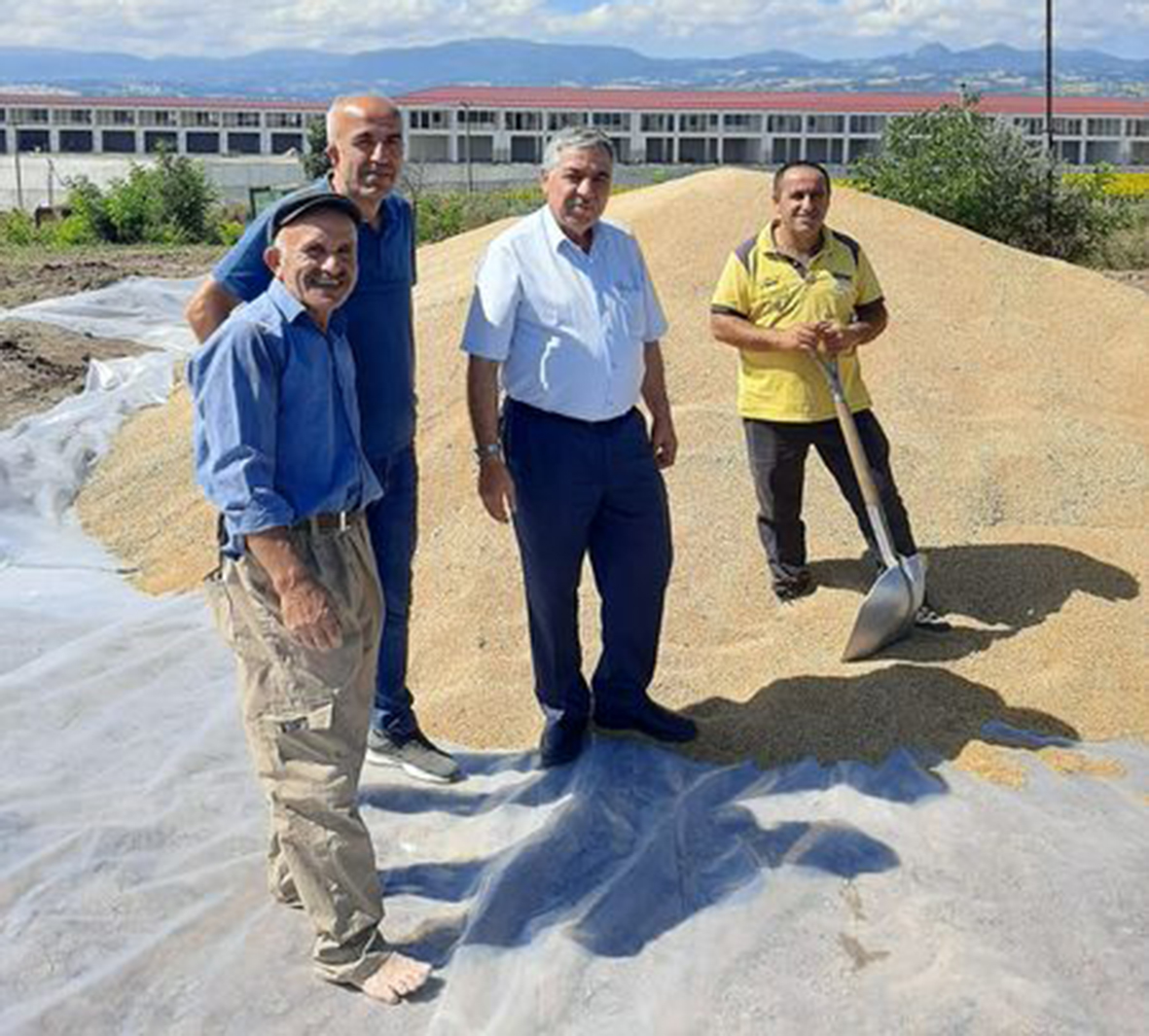 Toprak Mahsulleri Ofisi (TMO) Çarşamba günü açıldı..