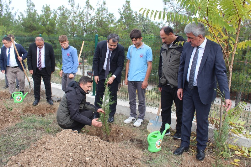 Cumhuriyetin 100. Yılında 100 fidan dikildi.