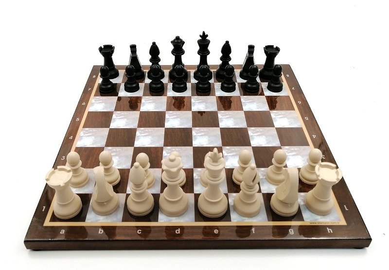 Satranç turnuvası düzenleniyor