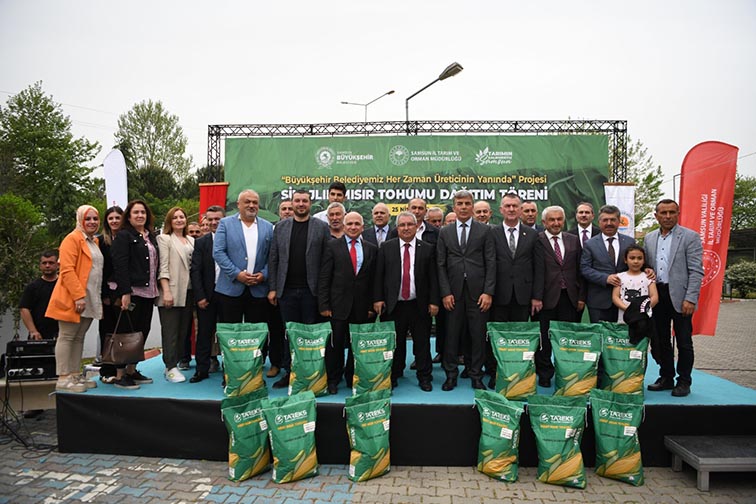 Samsun Büyükşehir Belediyesi’nden  13 ilçede 12 bin dekar alana  Silajlık Mısır Tohumu