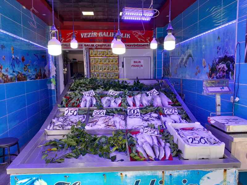 Balık sezonu başladı..