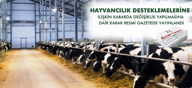 2024-2026 Yılları Hayvancılık Desteklemeleri Açıklandı