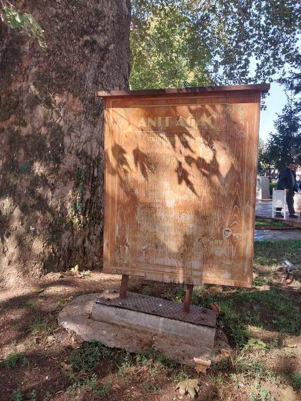 Çınar Ağacı çevresi bakım da bekliyor!