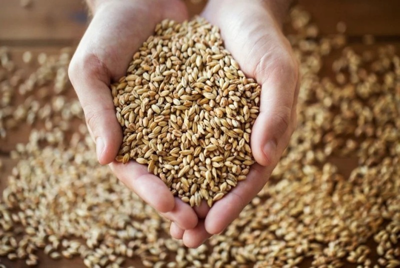 TMO hububat satışlarına devam ediyor