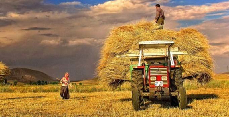 ÇKS için gün: 31 Aralık