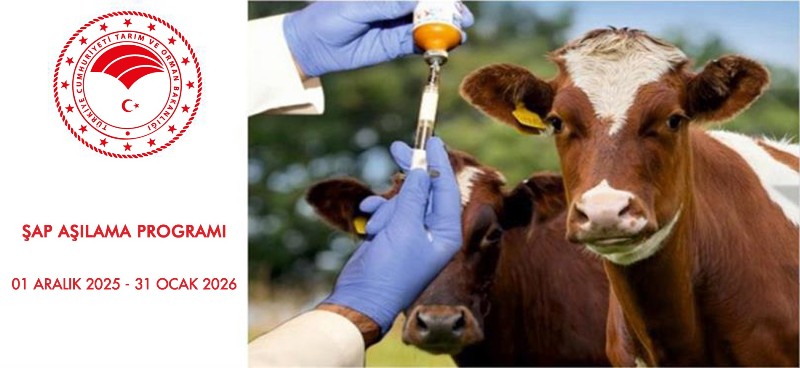 Şap Aşısı Yaptırmayana Büyük Ceza..