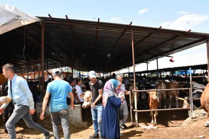 Canlı Hayvan Pazarı yeniden açıldı