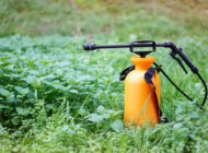 Tarım İlacı can aldı: