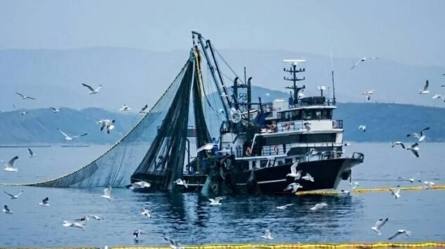 Balık yasağı başladı: 4,5 ay sürecek