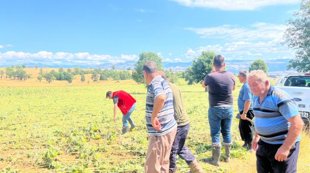 Vezirköprü’de şiddetli sağanak ve dolu büyük zarara yol açtı